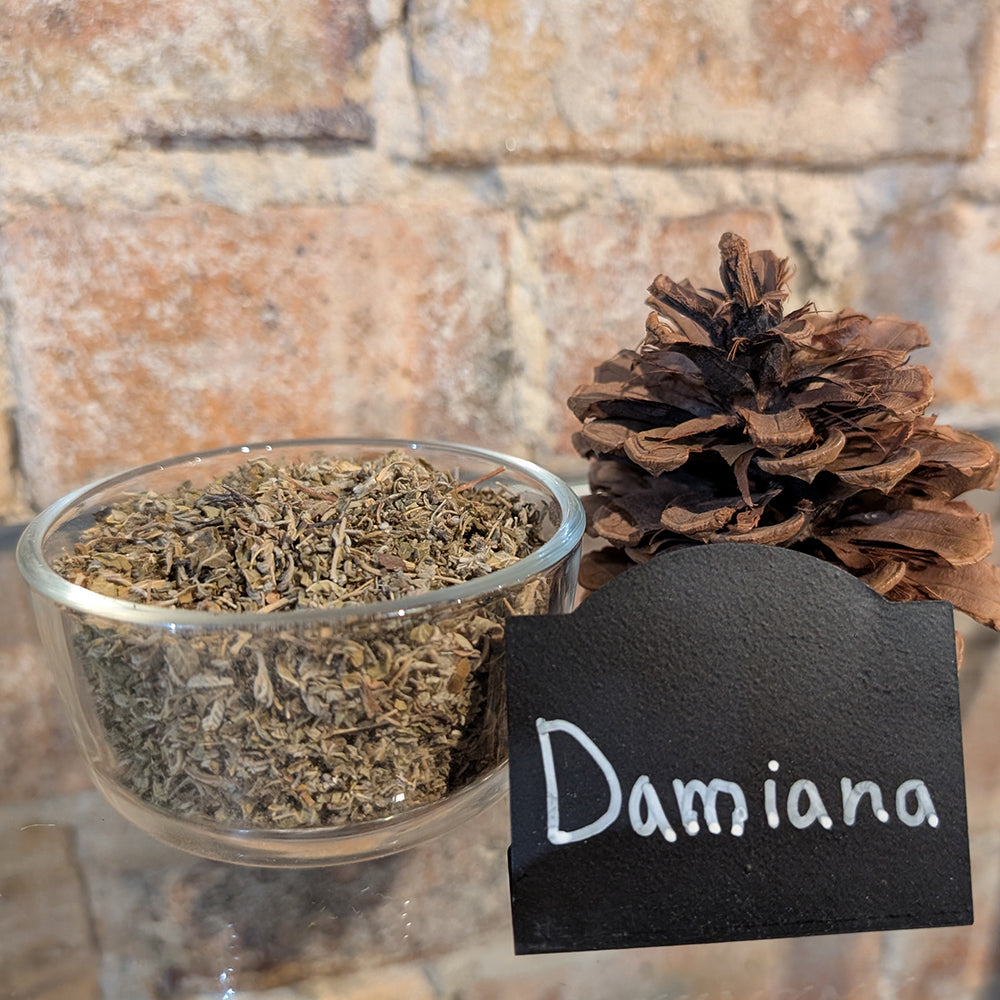 365day herb  damiana_1200x1200.jpg?v=1739737077