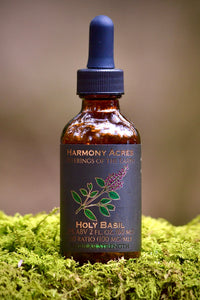 Blue Lotus Tincture