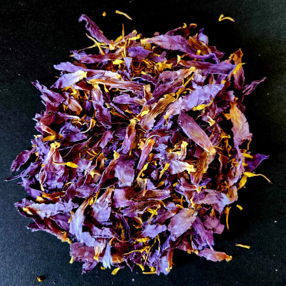 Blue Lotus Petals and Stamens