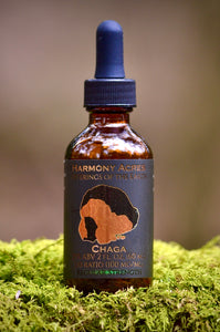 Wild Chaga Mushroom Tincture