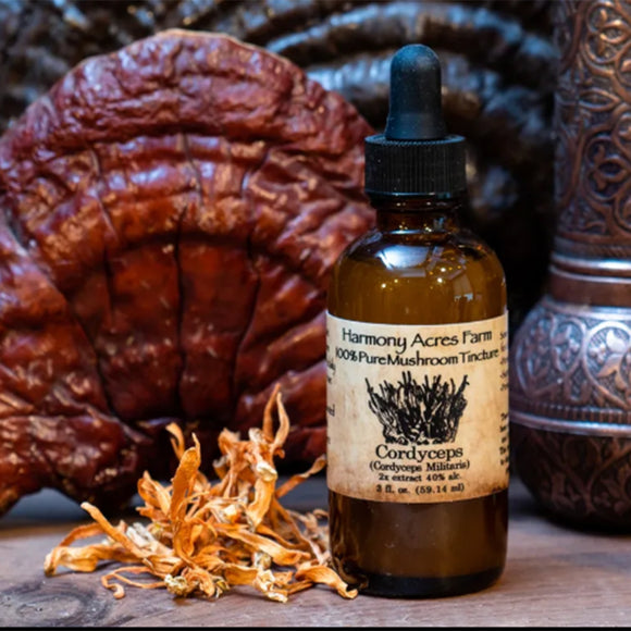 Cordyceps Mushroom Tincture