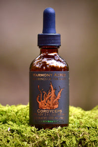 Cordyceps Mushroom Tincture