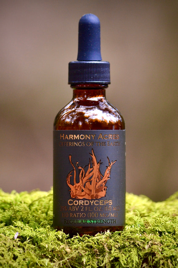 Cordyceps Mushroom Tincture