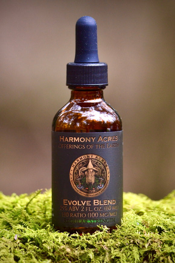 Evolve Blend Mushroom Tincture