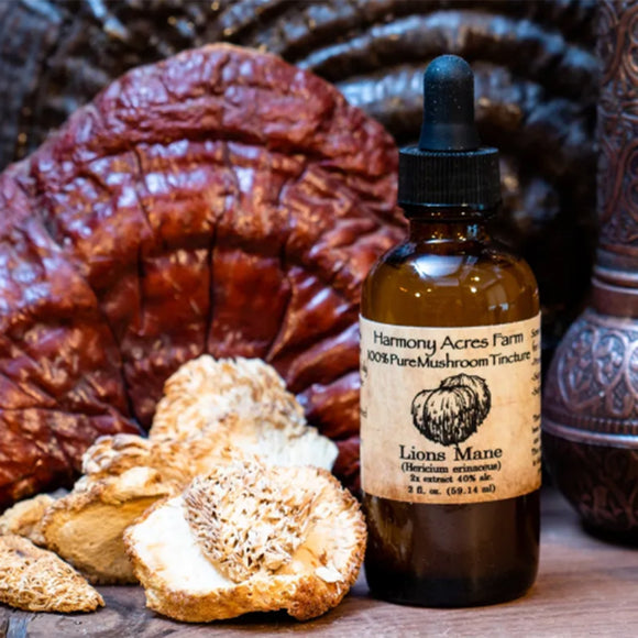 Lion's Mane Mushroom Tincture