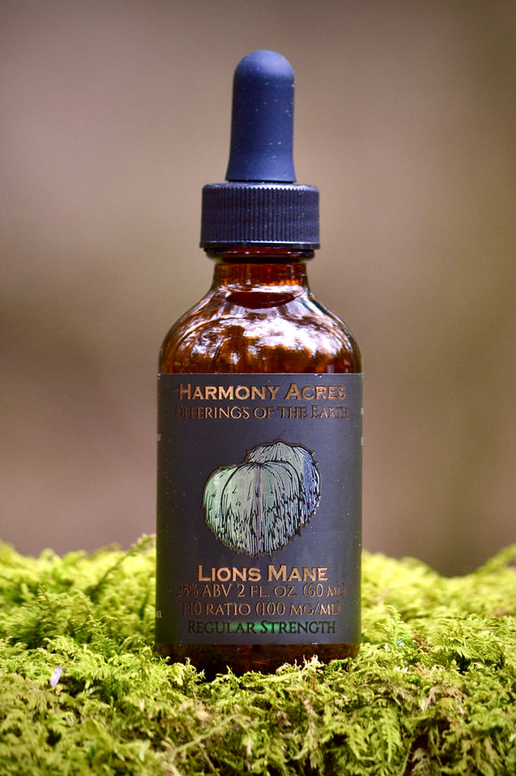Lion's Mane Mushroom Tincture