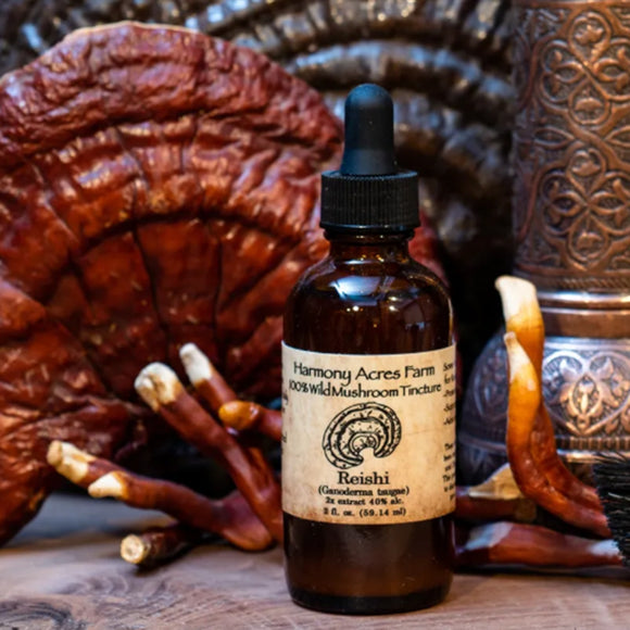 Wild Reishi Mushroom Tincture