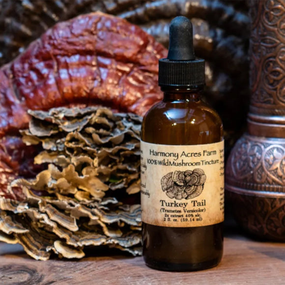 Wild Turkey Tail Mushroom Tincture