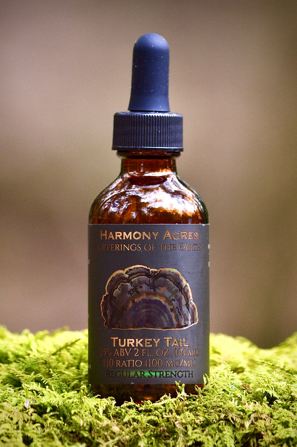 Chill Blend Mushroom Tincture