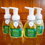Group shot of our different scents of foaming hand soap in foamer pump bottles